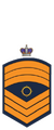 C10EngMod.png