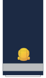 C12 Sleeve-Fourth Officer.png