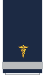 C12 Sleeve-Nurse.png