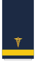 C13 Sleeve-Senior Nurse.png