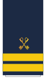 C15 Sleeve-Asst Cruise Director.png
