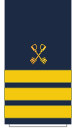C16 Sleeve-Cruise Director.png