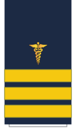 C16 Sleeve-Merchant Surgeon.png