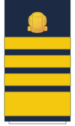 C18 Sleeve-Fleet Manager.png