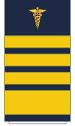 C18 Sleeve-Fleet Medical Director.png