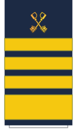 C18 Sleeve-Fleet Passenger Director.png