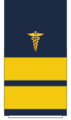 Thumbnail for version as of 14:29, 28 November 2019