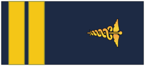 C19slipmed.png