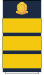 C20D Sleeve-Mangr Director.png