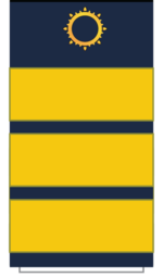 C20E Sleeve-Mangr Director.png