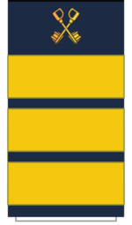 C20H Sleeve-Mangr Director.png