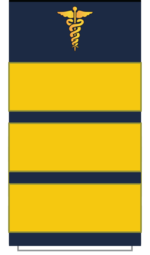 C20M Sleeve-Mangr Director.png