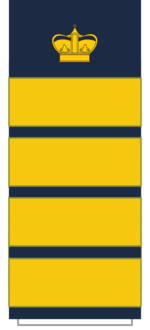 C21 C22 Sleeve-TrdMin-TranMin.png