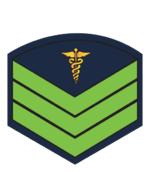 C6MedMod.png