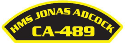 CA489Flash.png