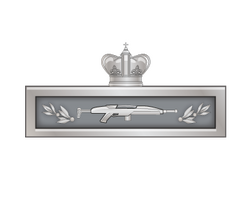 Combat Infantry Badge