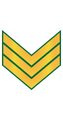 Thumbnail for version as of 19:31, 7 October 2022