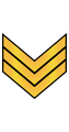 Thumbnail for version as of 19:37, 7 October 2022
