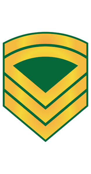 File:E8m.png