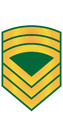 Thumbnail for version as of 17:29, 7 October 2022