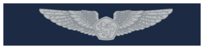 EASW-RMMM-Working.png
