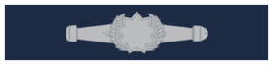 ESWP-RMMM-Working.png