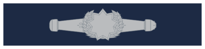 ESWP-RMMM-Working.png