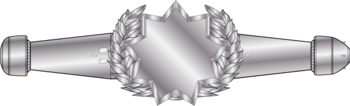 Enlisted Space Warfare Pin