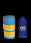 F6g.png