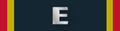 Fleet excellence award (ribbon).png