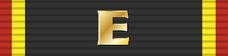 Fleet excellence award (ribbon) (gold).png