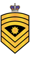 Flt Cmd SMCPO RMN.png