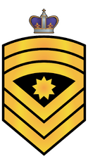 Flt Cmd SMCPO RMN.png