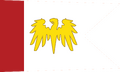 IAN F-1 Flag.png