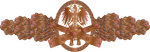 IAN combat action clasp bronze.png