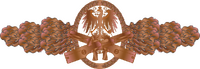 IAN combat action clasp bronze.png
