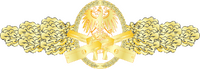 IAN combat action clasp gold.png