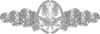 IAN combat action clasp silver.png