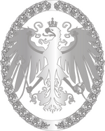 IAN marksmanship silver.png