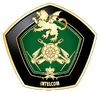INTELCOM Crest.png