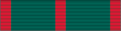 Jubilee Celebration Attendance Medal.png