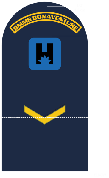 File:LeftArmWorking-RMMM-C1-C-8.png