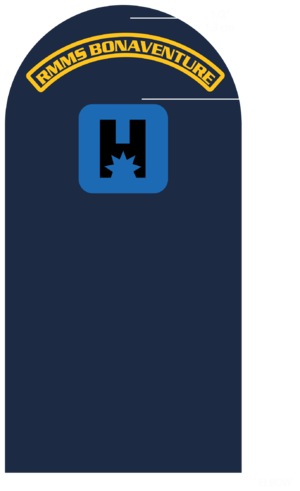 LeftArmWorking-RMMM-C12-C17.png