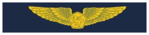 OASW-RMMM-Working.png