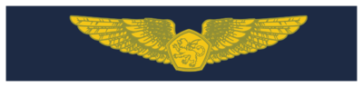 OASW-RMMM-Working.png