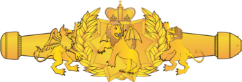 Officer Space Warfare Pin