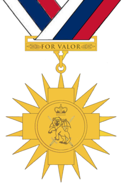 Pmv medal.png
