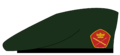 Thumbnail for version as of 10:59, 2 February 2020
