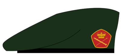 RMA BERET.png
