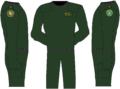 Thumbnail for version as of 09:24, 3 February 2020
